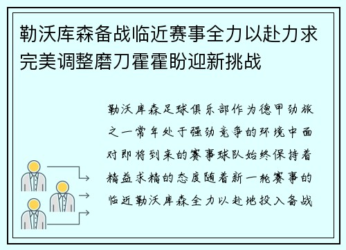 勒沃库森备战临近赛事全力以赴力求完美调整磨刀霍霍盼迎新挑战